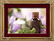 Perfume Bottles